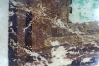 detail from Magdalen College, ms Lat. 223 19r